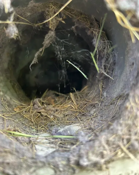 Before dryer vent lint cleaning in Green Bay – clogged dryer vent full of built-up lint