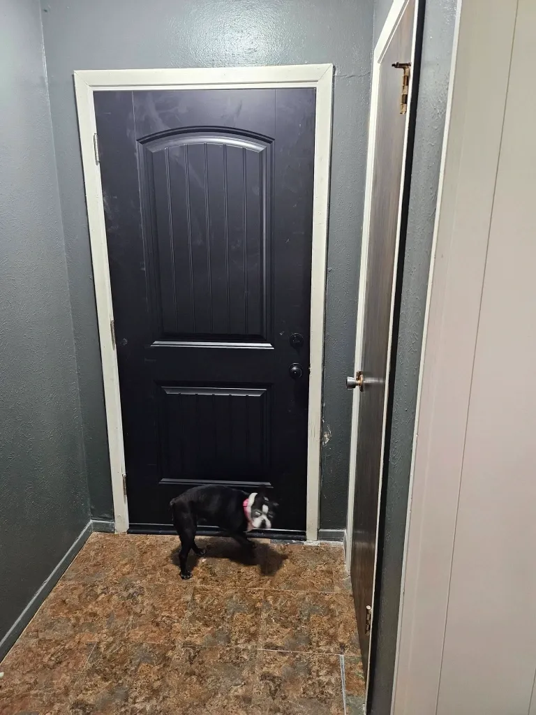 After entry door repair in Green Bay – front entry door closing and latching smoothly