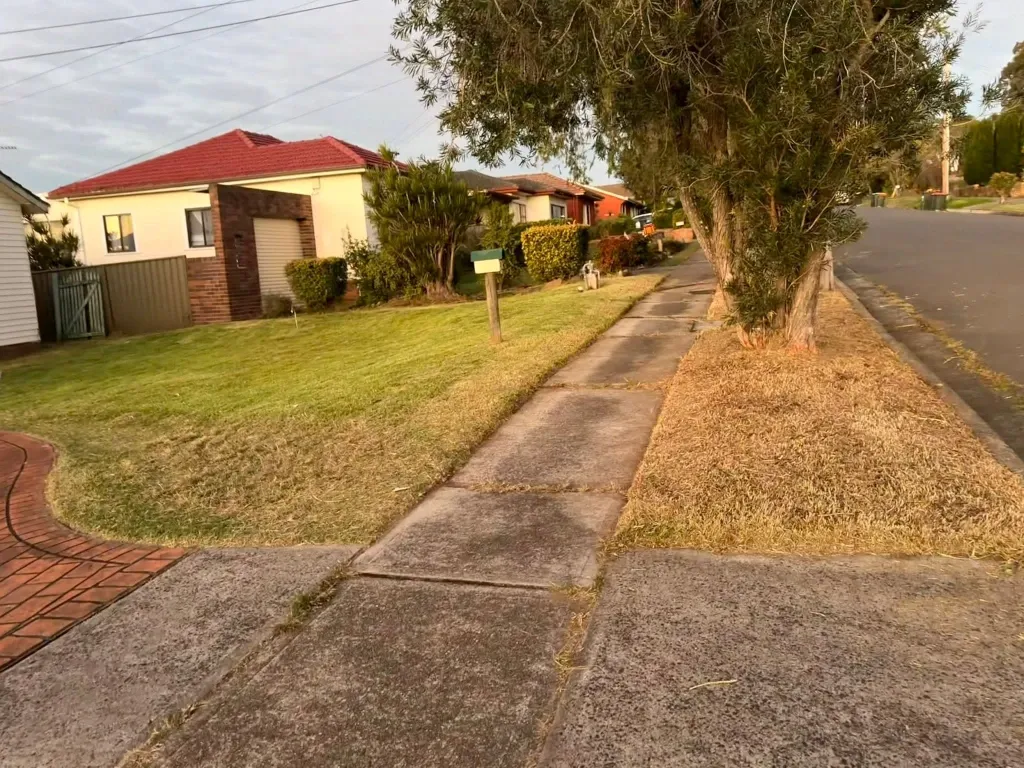 After lawn mowing in Green Bay – neatly cut, well-maintained residential lawn