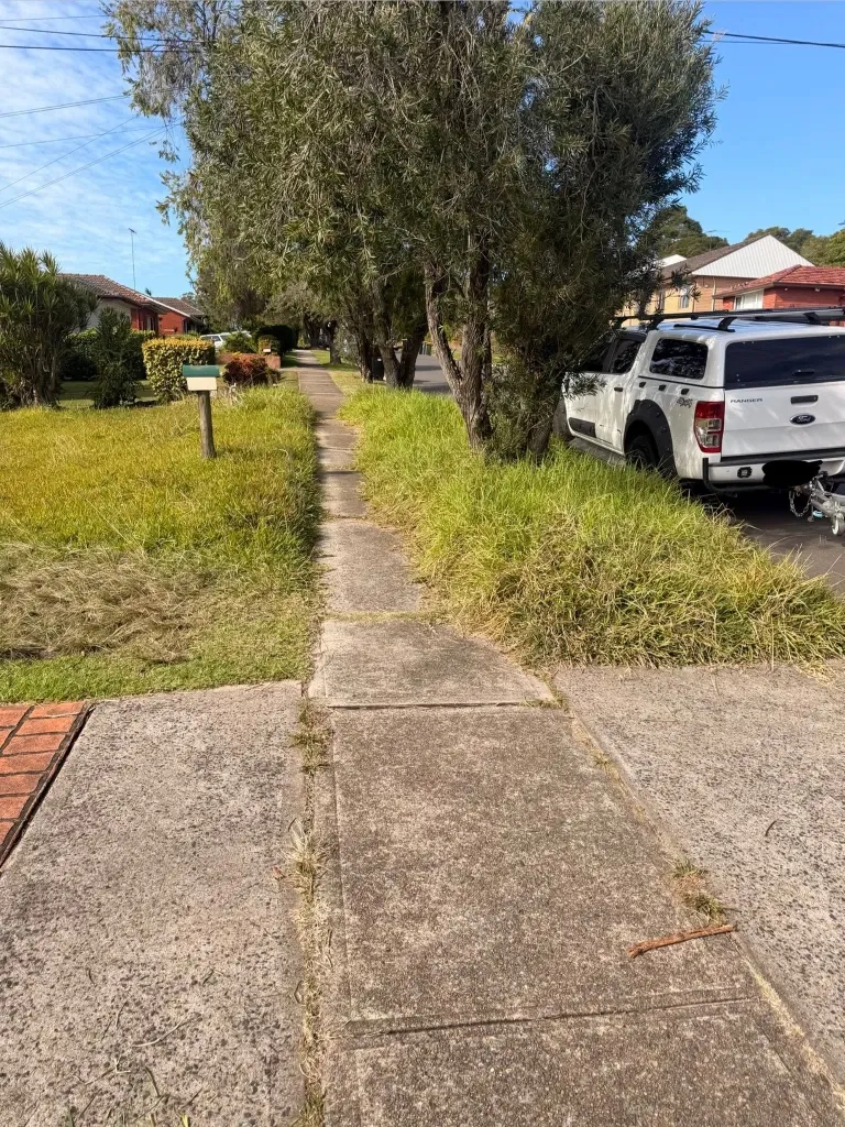 Before lawn mowing in Green Bay – tall, overgrown residential lawn